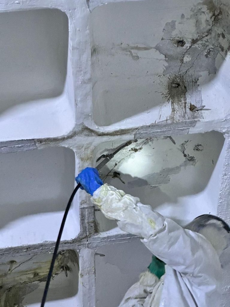 WhatsApp Image 2026-03-29 at 21.47.29 (1)