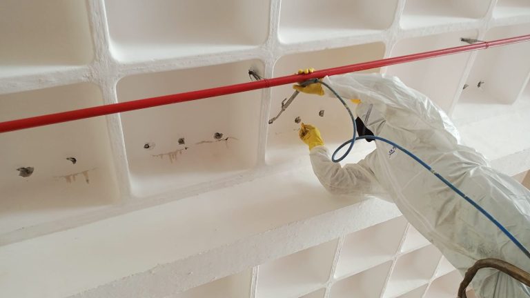 WhatsApp Image 2026-03-29 at 21.53.37 (1)