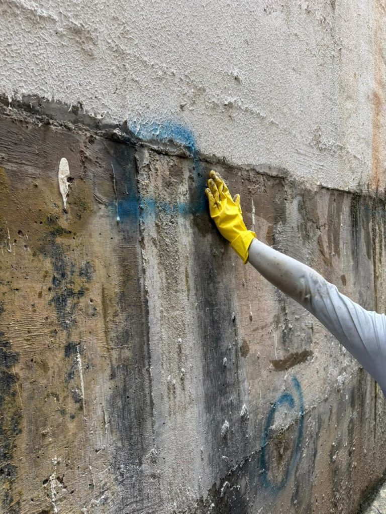 WhatsApp Image 2026-03-30 at 00.07.45